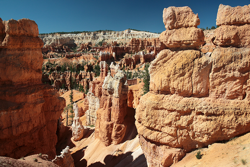 Bryce Canyon : Utah : Landscape Photos : Richard Moore : Photographer